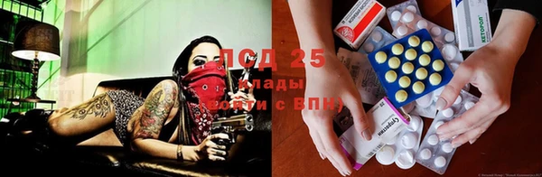 гидропоника Абаза