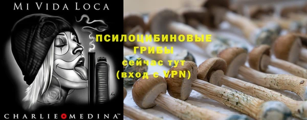 дмт Абдулино