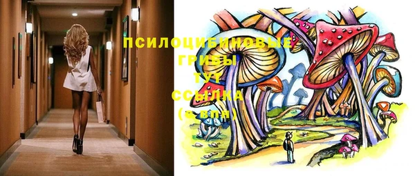 гидропоника Абаза