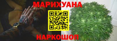 сатива Абакан