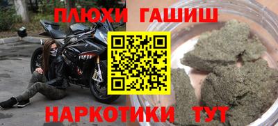 сатива Абакан