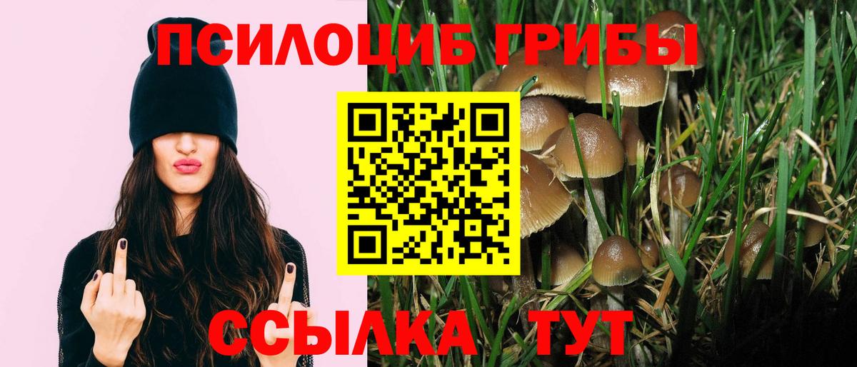 Псилоцибиновые грибы Psilocybine cubensis  Вход с VPN  Алатырь 