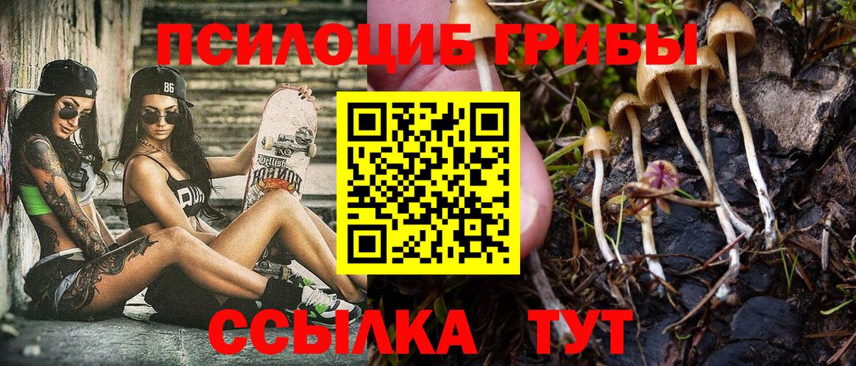 Конопля  ГАШ  Вход с VPN  НБОМе  Алатырь  Меф   ГАШИШ  ЭКСТАЗИ 